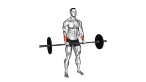 Barbell Standing Wrist Reverse Curl - Video Exercise Guide & Tips