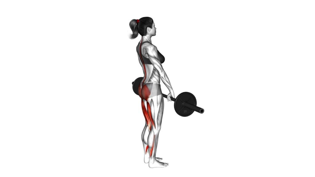 Female Barbell Stiff Legged Deadlift: Video Guide & Tips