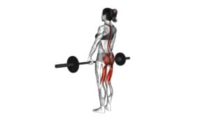 Barbell Straight Leg Deadlift (female) - Video Exercise Guide & Tips