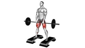 Barbell Sumo Deadlift From Deficit - Video Exercise Guide & Tips