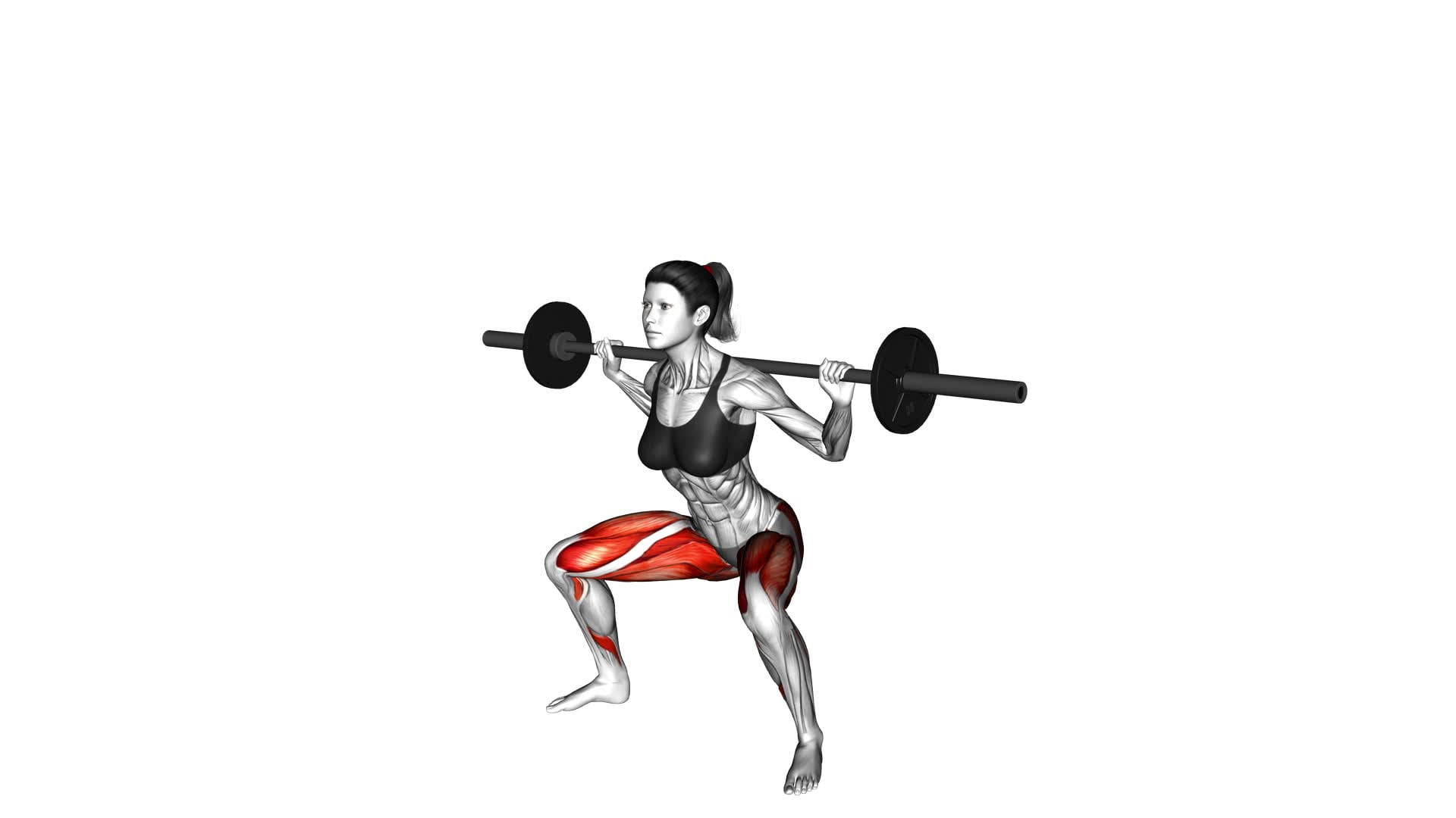 Barbell Sumo Squat (female) - Video Exercise Guide & Tips