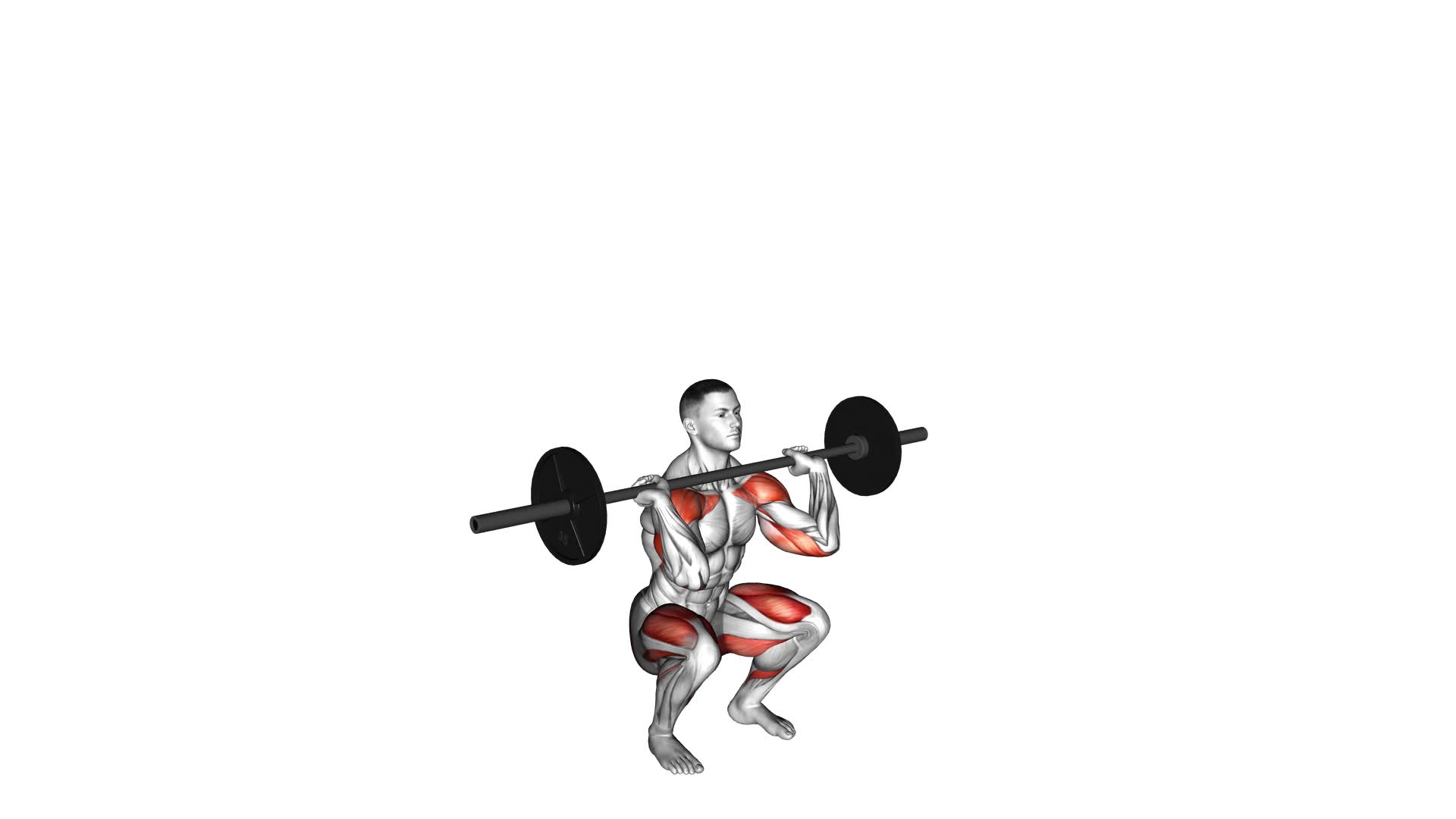 Barbell Thruster - Video Exercise Guide & Tips