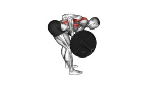 Barbell Underhand Bent-over Row - Video Exercise Guide & Tips