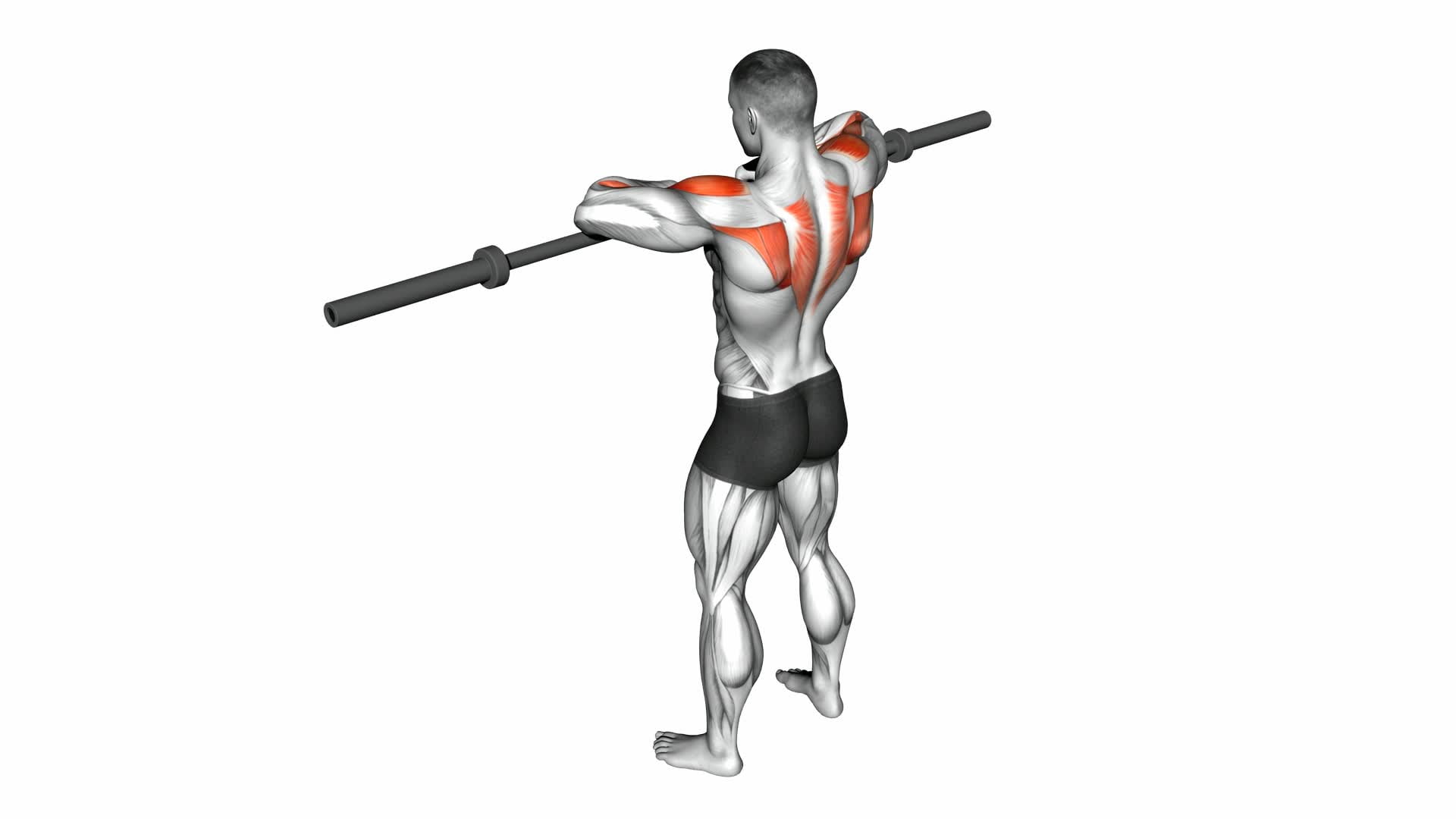 Barbell Upright Row - Video Exercise Guide & Tips