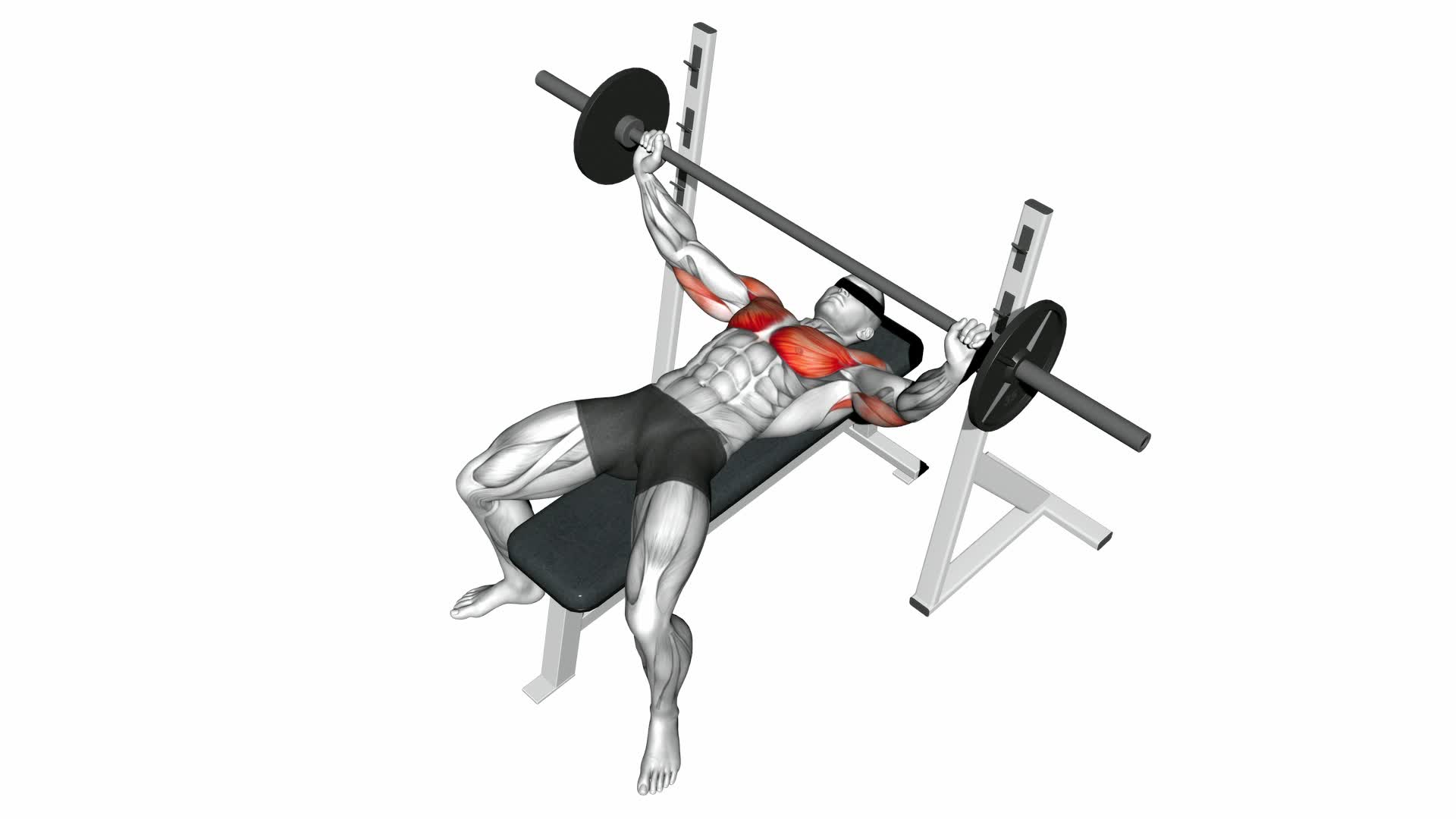 Barbell Wide Bench Press: Ultimate Video Guide & Tips