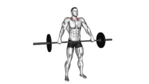 Barbell Wide Shrug - Video Exercise Guide & Tips
