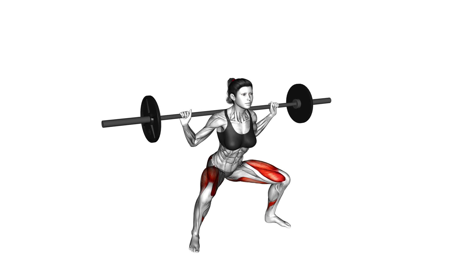 Barbell Wide Squat (female) - Video Exercise Guide & Tips