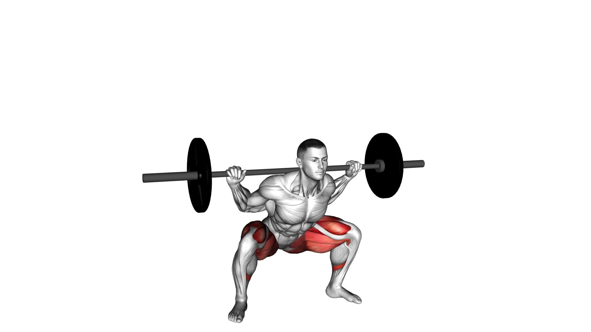 Barbell Wide Squat - Video Exercise Guide & Tips