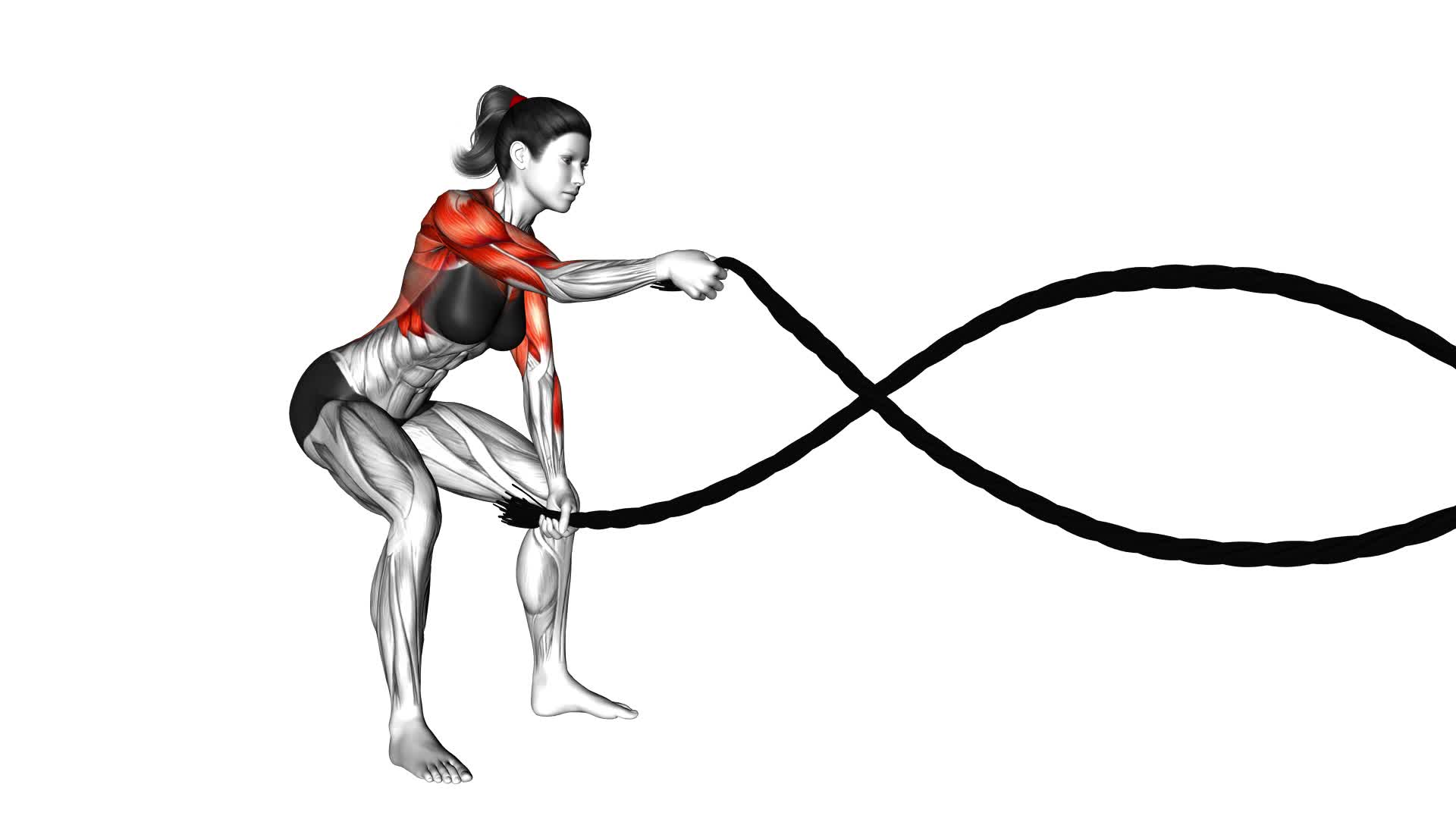 Battling Ropes (female) - Video Exercise Guide & Tips