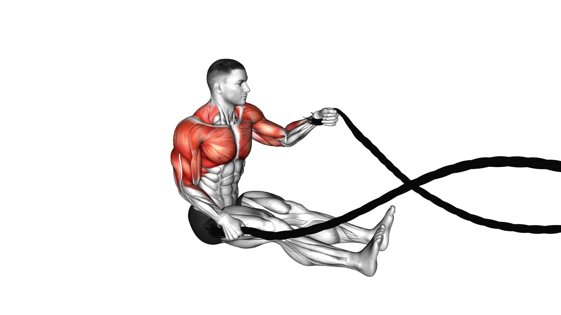 Battling Ropes Seated (male) - Video Exercise Guide & Tips