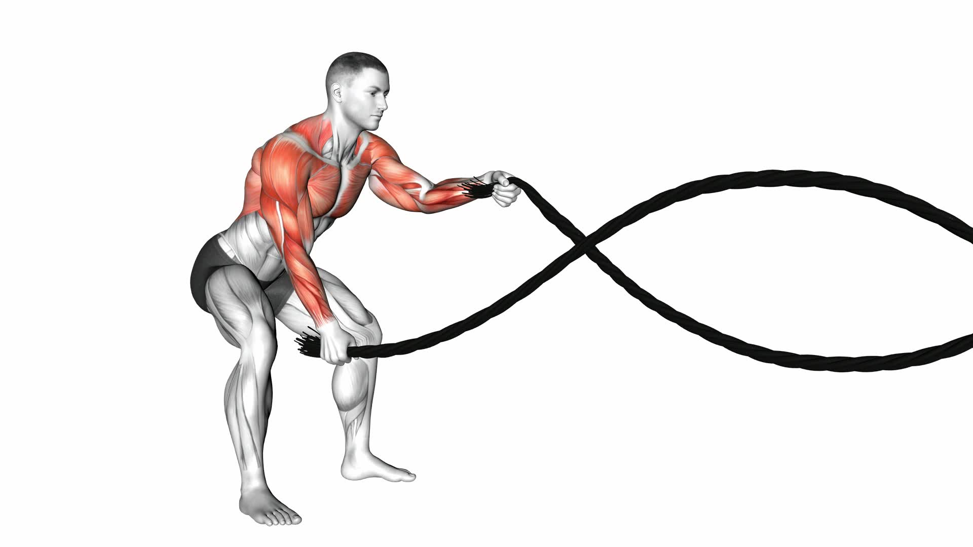 Battling Ropes - Video Exercise Guide & Tips