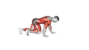 Bear Crawl (Low Hip) (Male) - Video Exercise Guide & Tips