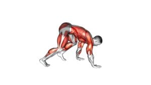 Bear Crawl - Video Exercise Guide & Tips