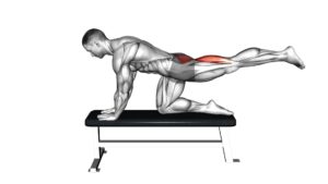 Bench Hip Extension - Video Exercise Guide & Tips