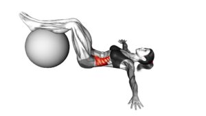 Bent Knee Lying Twist (On Stability Ball) - Video Exercise Guide & Tips