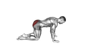 Bent Leg Kickback (kneeling) (male) - Video Exercise Guide & Tips