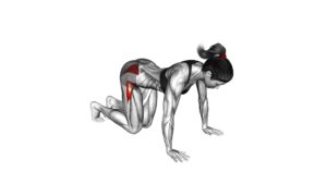 Bent Leg Side Kick (kneeling) (female) - Video Exercise Guide & Tips