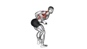 Bent-Over Row With Towel - Video Exercise Guide & Tips