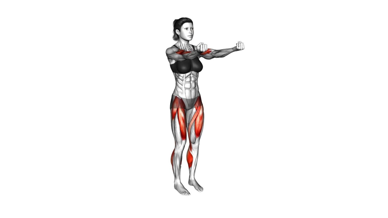Biceps Curl Front Step: Video Guide & Tips For Female Fitness