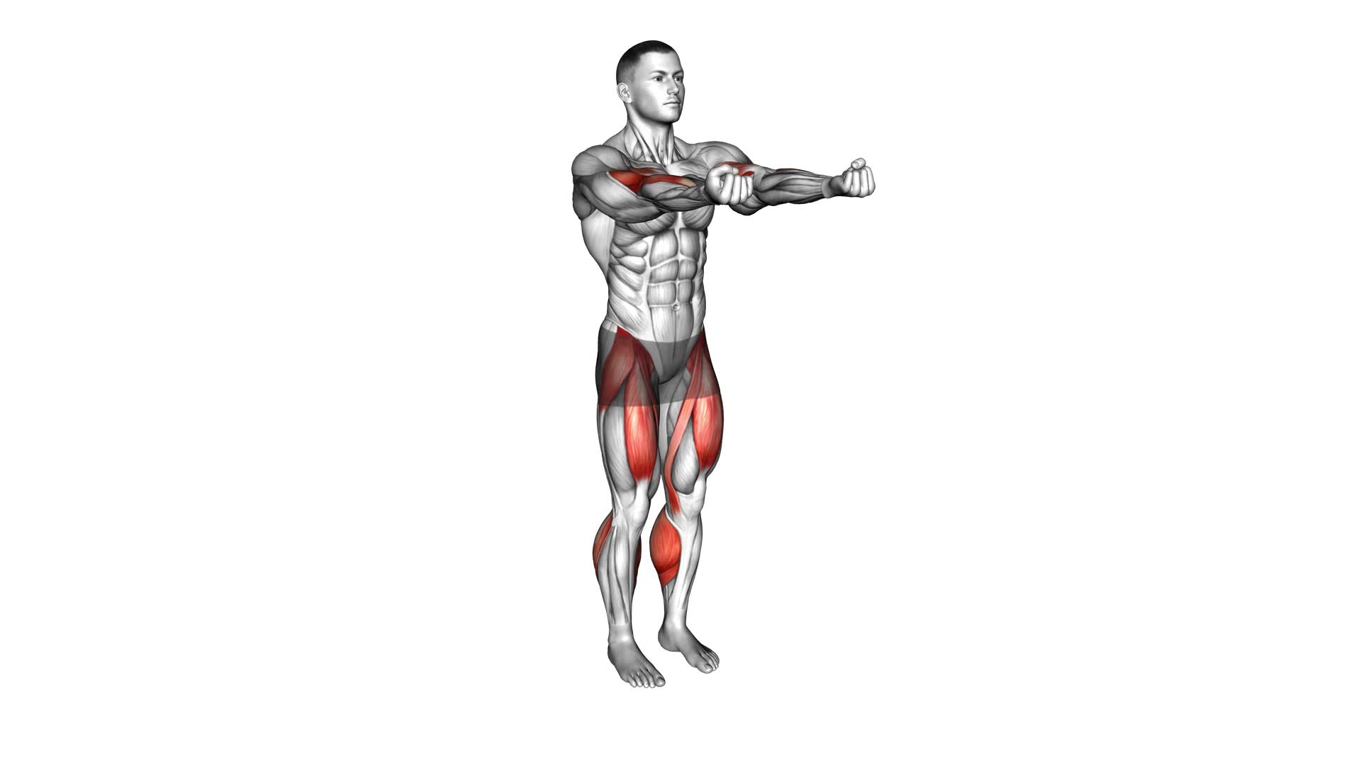 Biceps Curl Front Step (male) - Video Exercise Guide & Tips