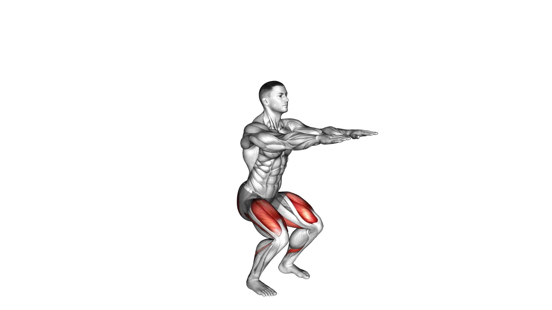 Bodyweight Half Squat (male) - Video Exercise Guide & Tips