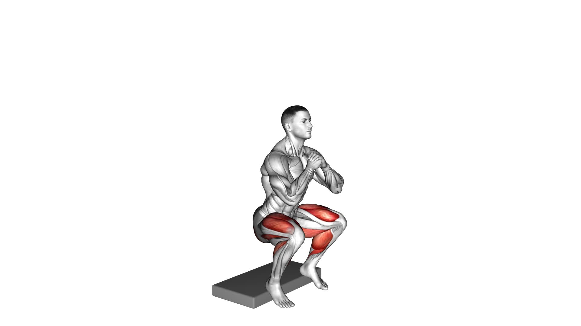 Bodyweight Heel Elevated Squat (Male): Video Guide & Tips