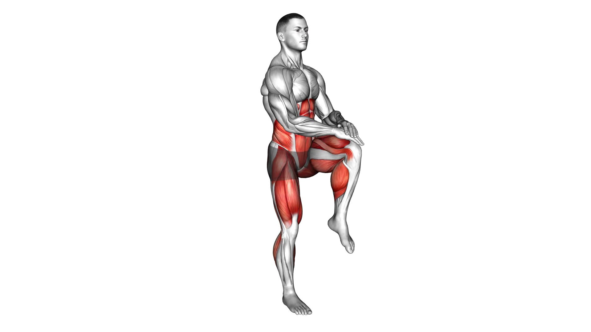 Bodyweight Knee Thrust - Video Exercise Guide & Tips