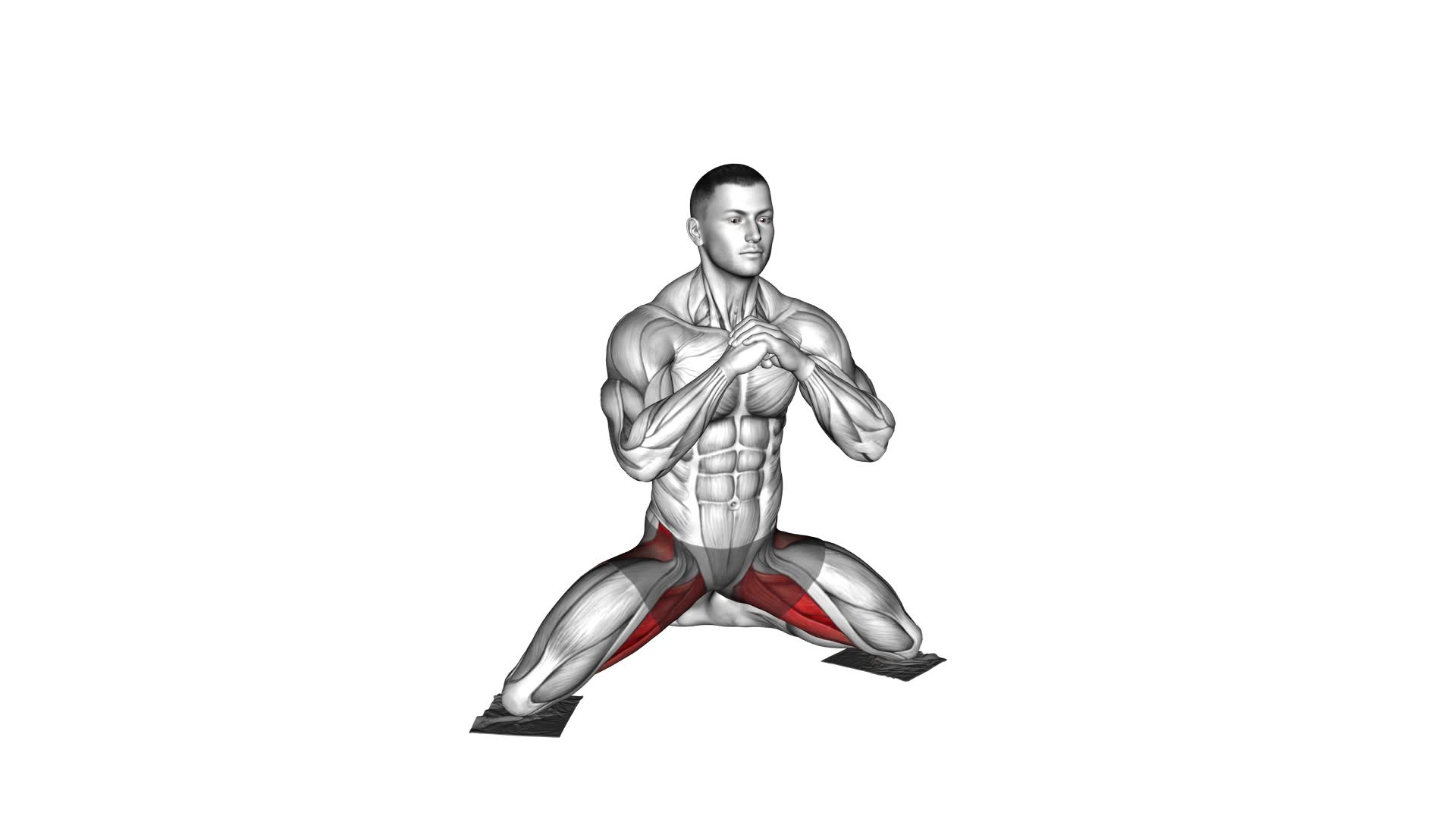 Bodyweight Kneeling Butterfly With Towels (Male) - Video Exercise Guide & Tips