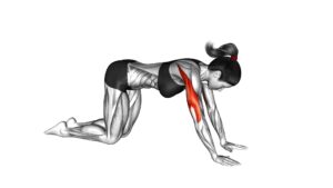 Bodyweight Kneeling Triceps Extension (female) - Video Exercise Guide & Tips