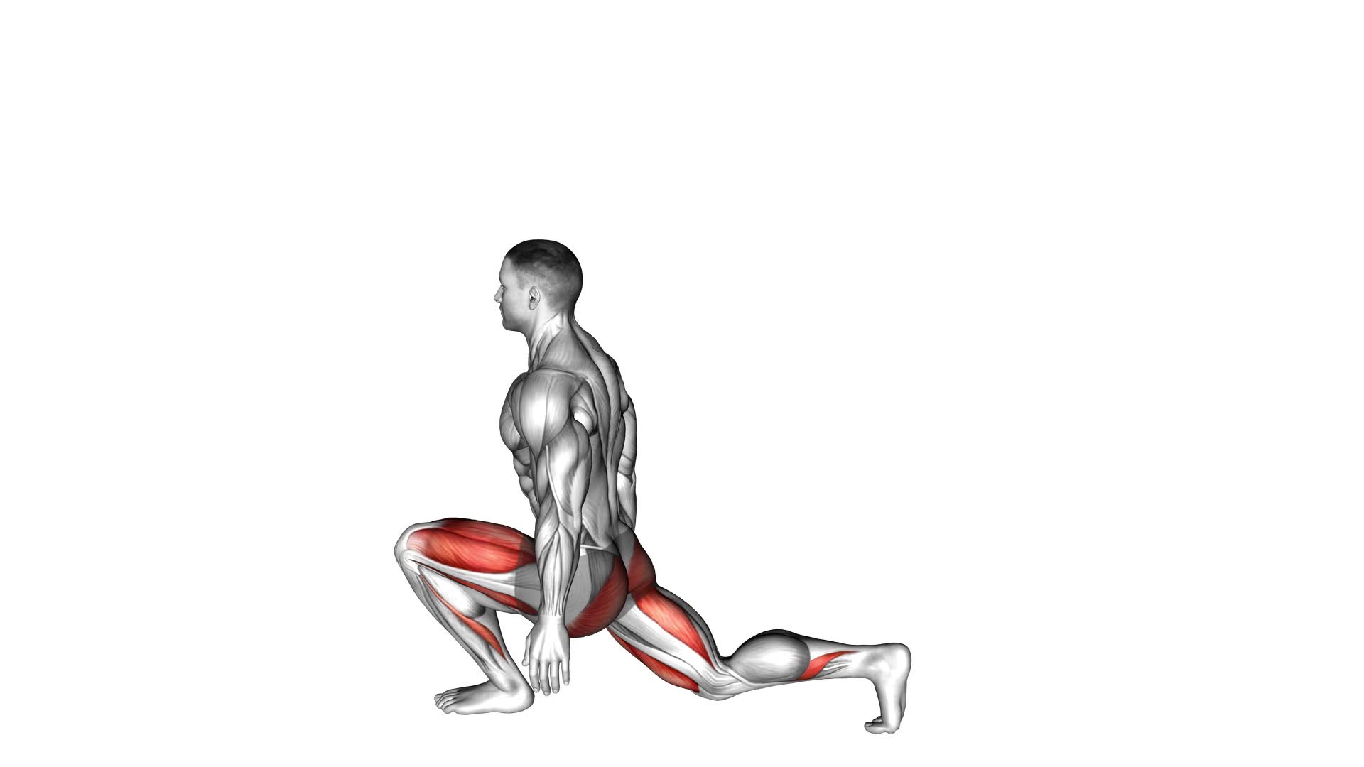 Bodyweight Low Split Squat (male) - Video Exercise Guide & Tips
