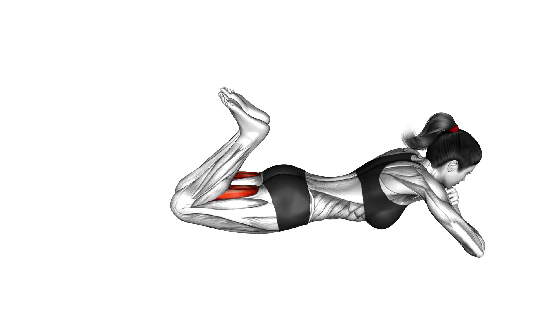 Bodyweight Lying Legs Curl (female) - Video Exercise Guide & Tips