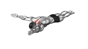 Bodyweight Lying Prone Ys - Video Exercise Guide & Tips