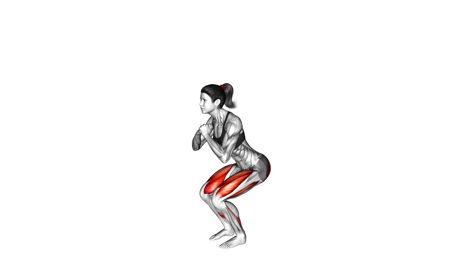 Bodyweight Narrow Squat (female) - Video Exercise Guide & Tips