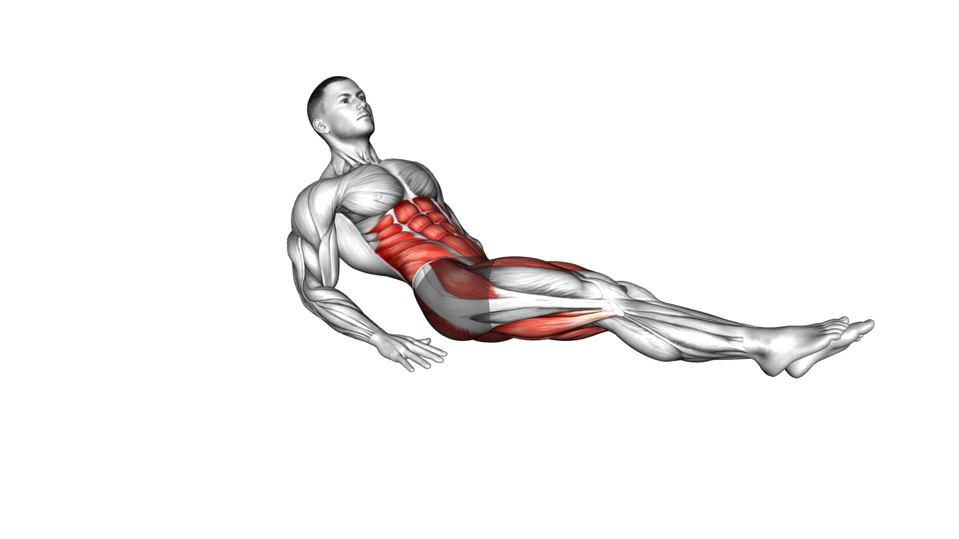 Bodyweight Rainbow Leg Raise (male) - Video Exercise Guide & Tips
