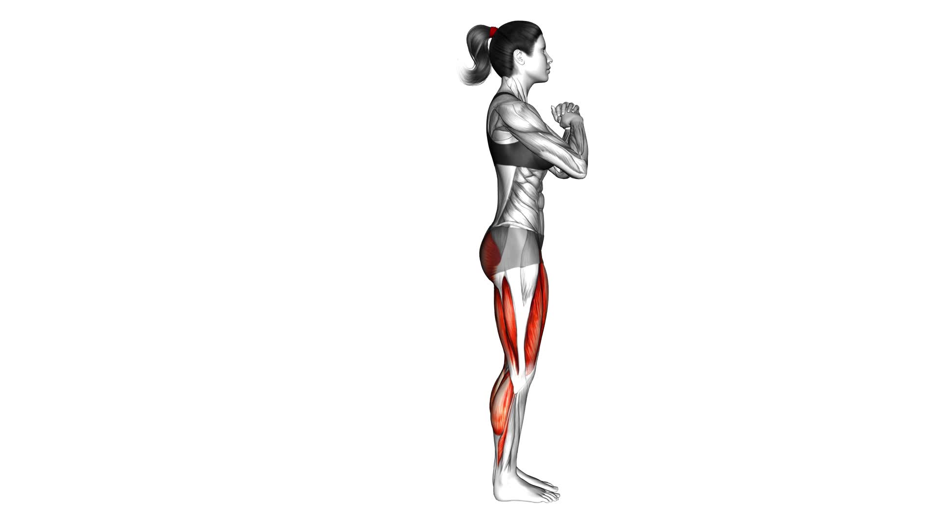 Bodyweight Reverse Lunge High Knee (female) - Video Exercise Guide & Tips