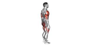 Bodyweight Reverse Lunge With Overhead Reach (Male) - Video Exercise Guide & Tips