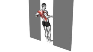 Bodyweight Row in Doorway - Video Exercise Guide & Tips
