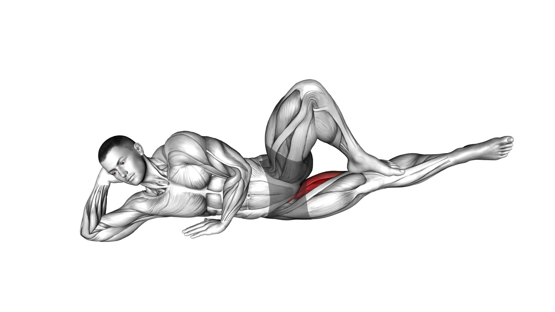 Bodyweight Side Lying Leg Adduction (male) - Video Exercise Guide & Tips