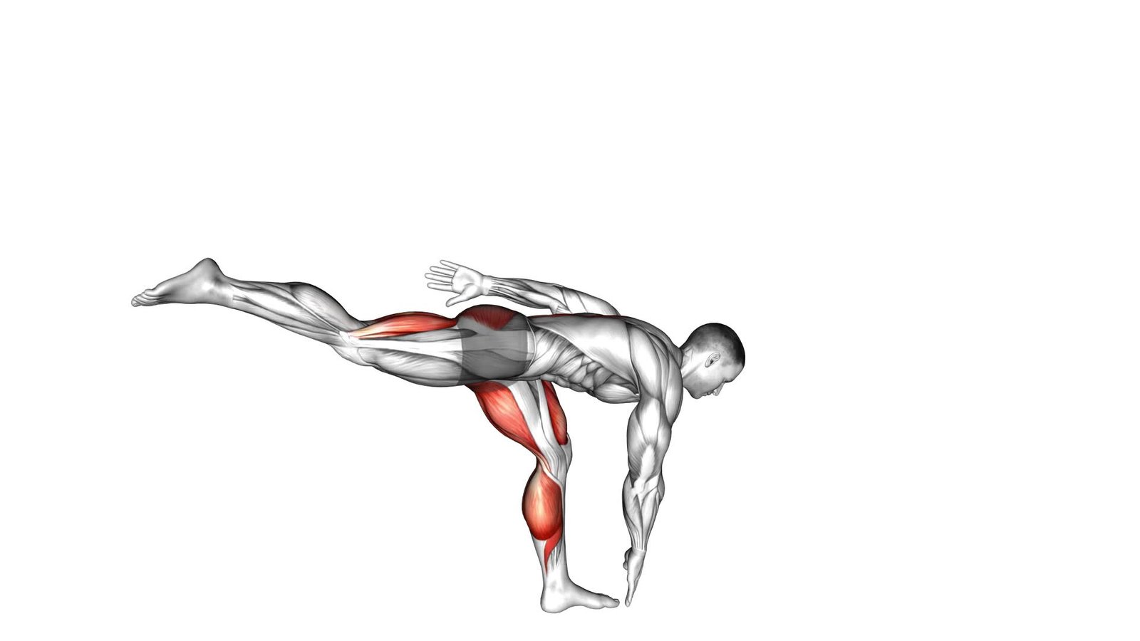 Bodyweight Single Leg Deadlift Ultimate Video Guide Expert Tips Bodyweight Single Leg Deadlift Ultimate Video Guide Expert Tips