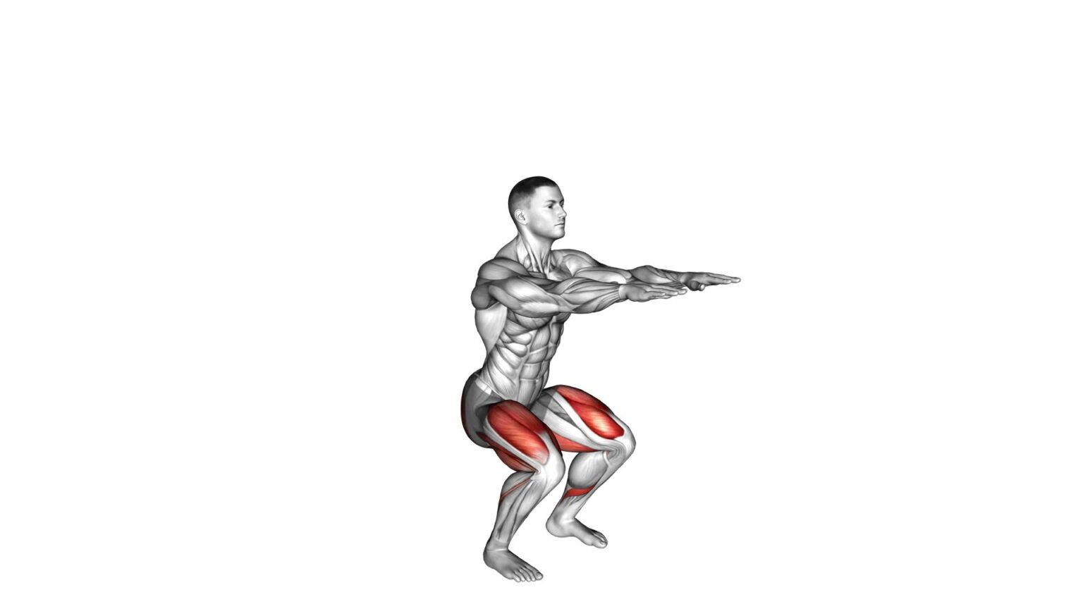 Bodyweight Slow To Explosive Squats (Male): Video Guide & Tips