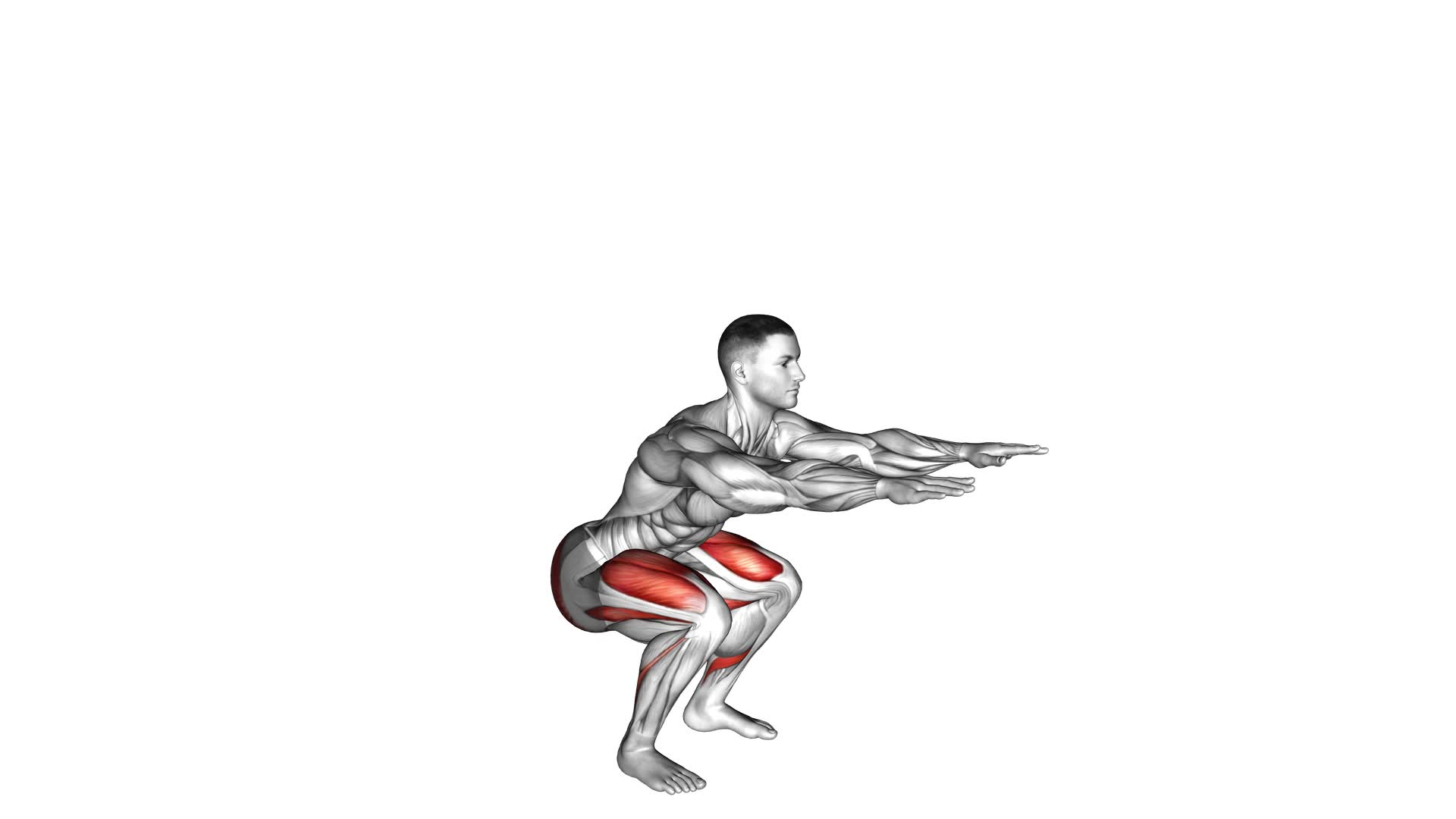 Bodyweight Squat (male) - Video Exercise Guide & Tips