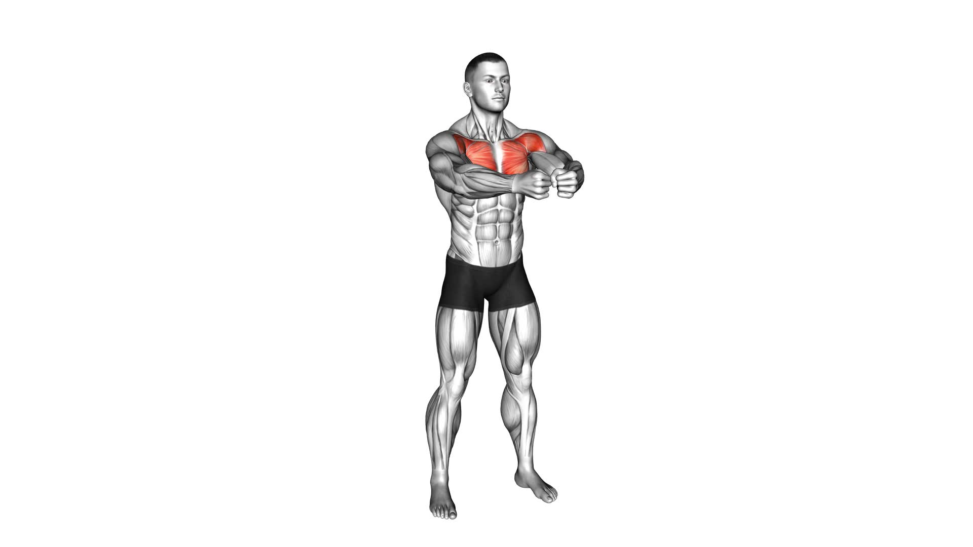 Bodyweight Standing Alternate Chest Fly (male) - Video Exercise Guide & Tips