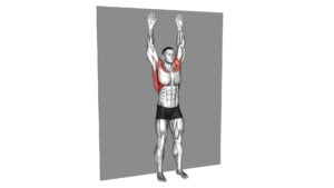 Bodyweight Standing Around World Wall Supported - Video Exercise Guide & Tips