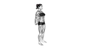Bodyweight Standing Back Stretch (female) - Video Exercise Guide & Tips