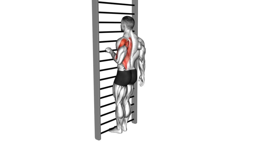 Bodyweight Standing Close Grip One Arm Row - Video Guide & Tips