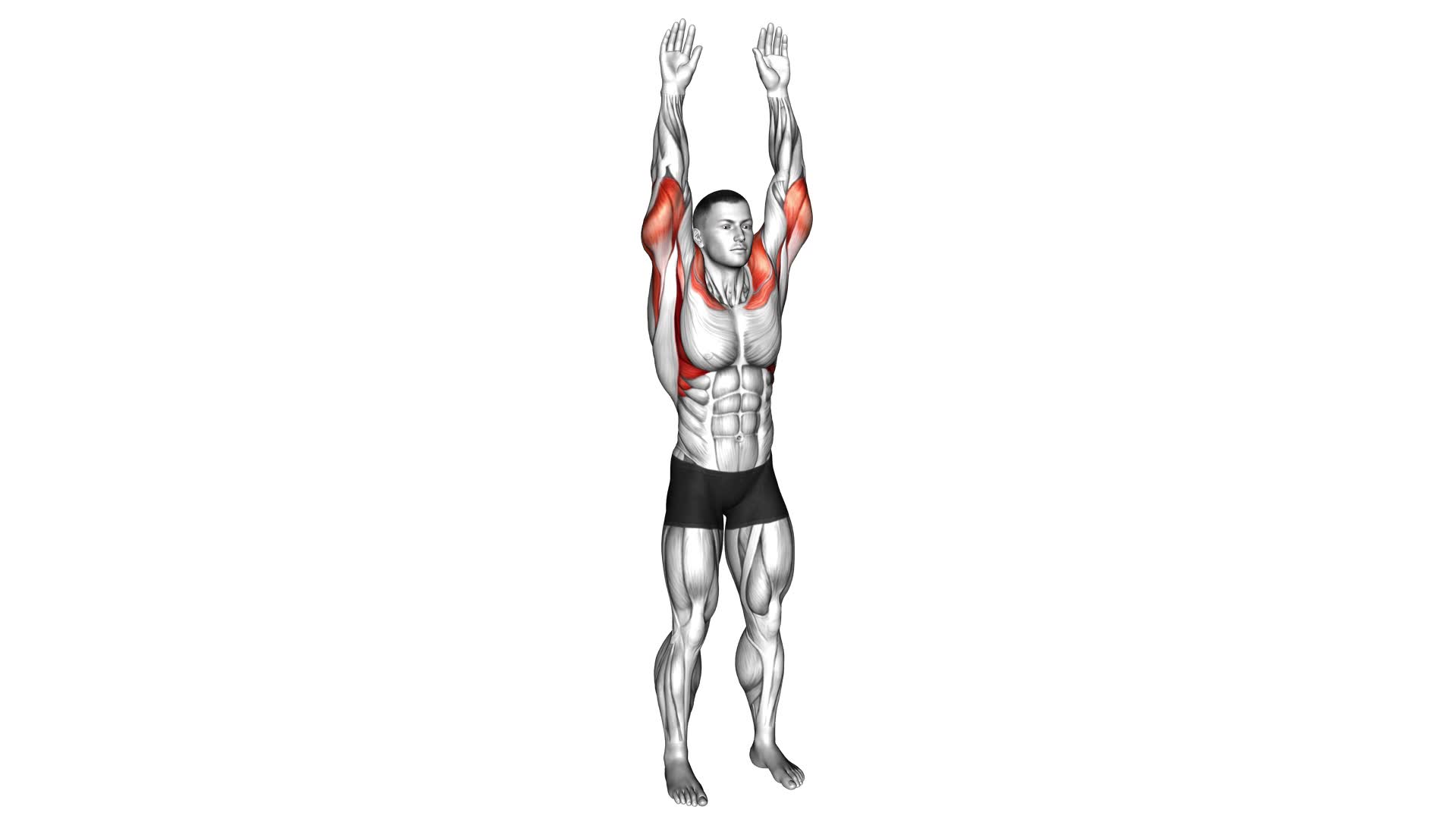 Bodyweight Standing Military Press - Video Exercise Guide & Tips