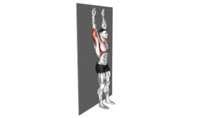 Bodyweight Standing Military Press Wall Supported - Video Exercise Guide & Tips