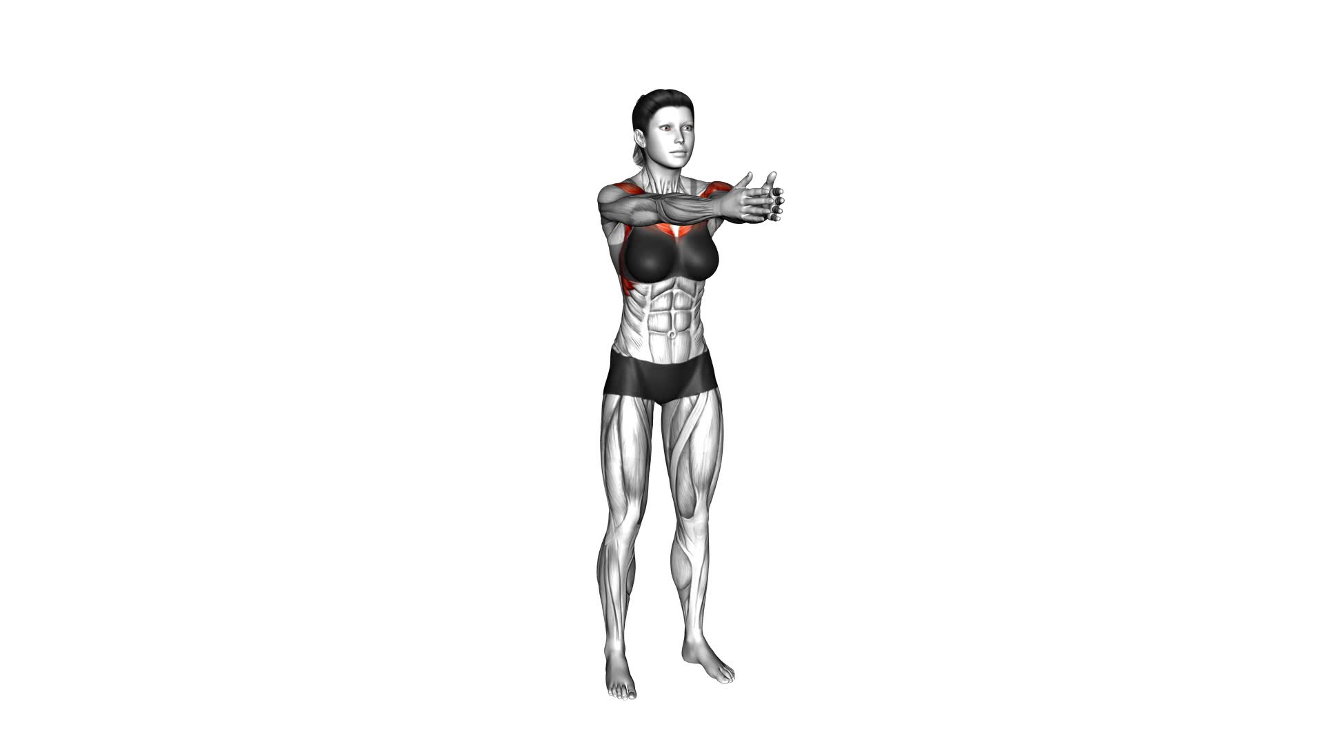 Bodyweight Standing Straight Arm Chest Fly (female) - Video Exercise Guide & Tips