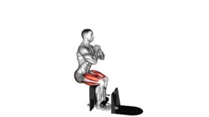 Bodyweight Supported Squat (male) - Video Exercise Guide & Tips