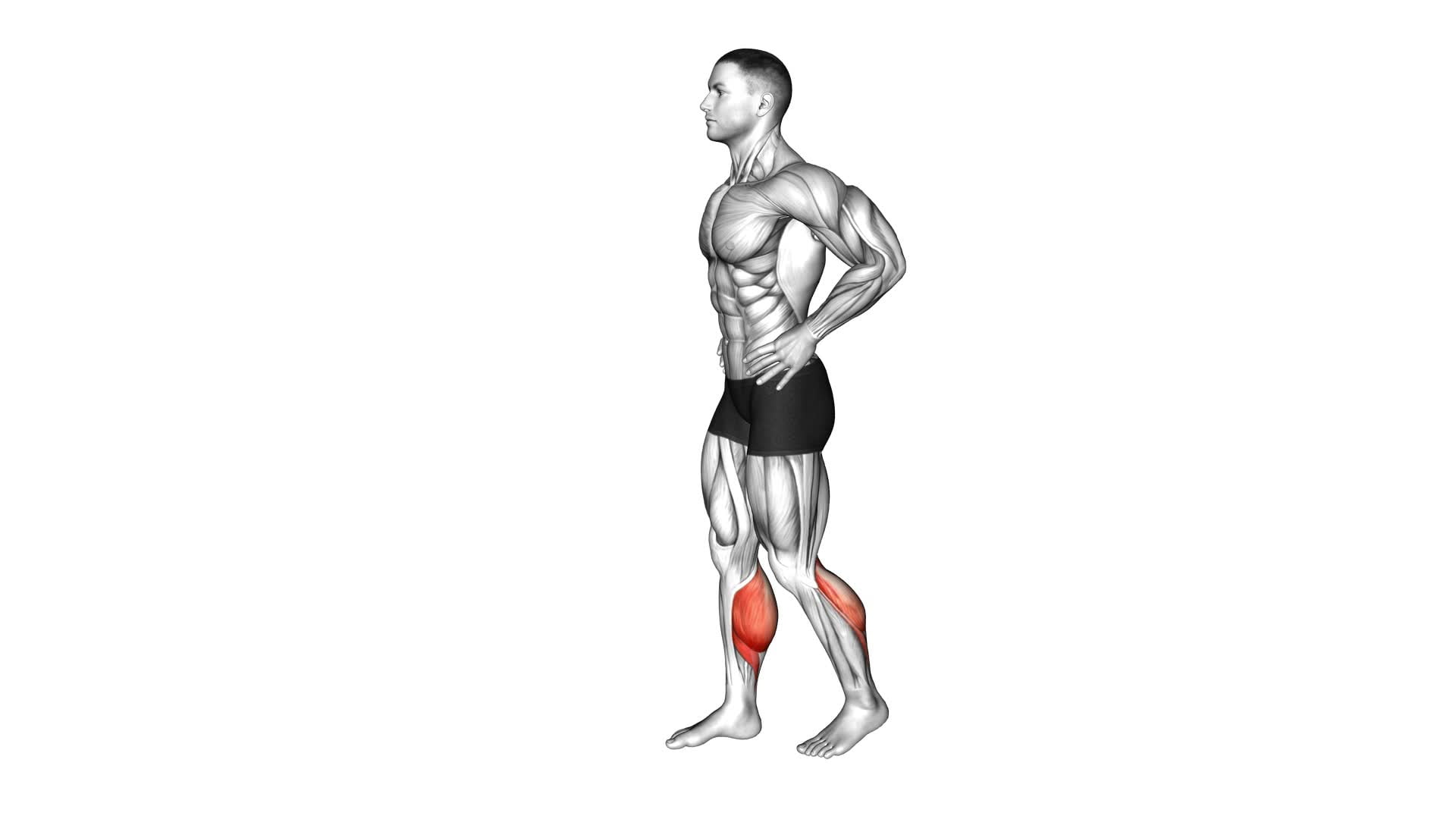 Bodyweight Walking Calf Raise - Video Exercise Guide & Tips